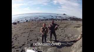 Ten Inch Trophy Abalone Diving [upl. by Rego381]