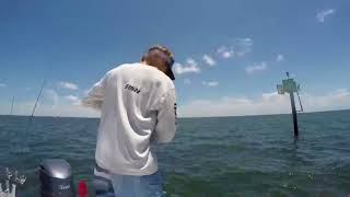 Preparing for your Fishing Charter in St Petersburg Florida [upl. by Gen]