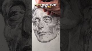 ANATOMY DRAWING STARTING FROM THE SKULLanatomy art portraitdrawing [upl. by Enihpets913]