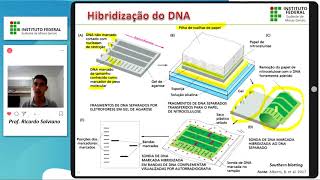 Tecnologias do DNA Recombinante  Parte III  Southern Blotting [upl. by Ykcub975]