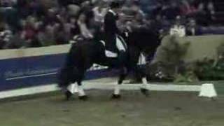 Friesian stallion Jasper 366 Dressage [upl. by Joappa198]