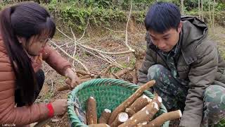 Harvesting cassava roots boiling them and selling them at the market  the life of a farmer [upl. by Arrac]