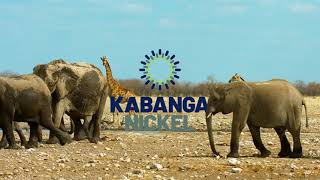 Kabanga Nickel Signs Binding Framework Agreement with the Tanzanian Government  19 January 2021 [upl. by Tahp]