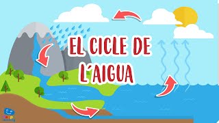 El cicle de laigua  Vídeos educatius per a nens en llengua catalana [upl. by Trebloc816]