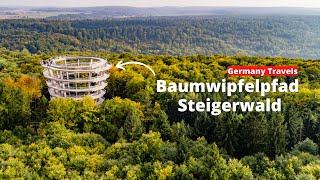 Baumwipfelpfad Steigerwald Bavaria 4K  Tree Top Walk [upl. by Monaco]