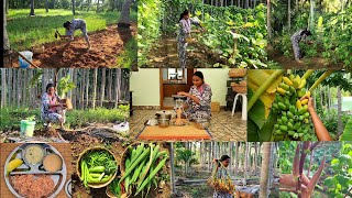 அவகேடோ🥑 இரம்புட்டான் 🌽சோள சந்தவைனு ஒரு புது விதமான அனுபவம்Vegetable harvsetingplanting new trees [upl. by Eugaet]