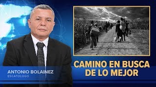 Camino en Busca de lo Mejor —Antonio Bolainez® [upl. by Esmond]