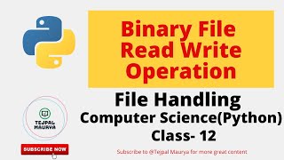 Binary File Python  How to read write a Binary File  File Handling  Class 12 Computer Science [upl. by Oninrutas]