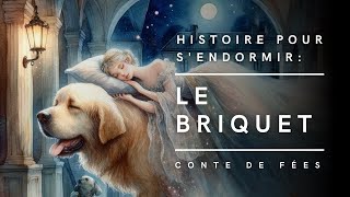 Le Briquet  Conte de fées  Histoire pour sendormir [upl. by Inaboy604]