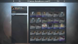 CSGO EMS Katowice 2014 Sticker  Capsule Opening 6 Holo amp Foil [upl. by Utimer]