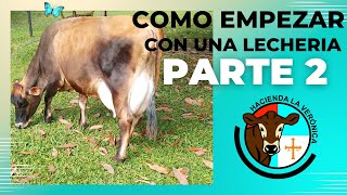 COMO EMPEZAR CON UNA PEQUEÑA LECHERIA EXITOSA SEGUNDA PARTE [upl. by Nylanej953]