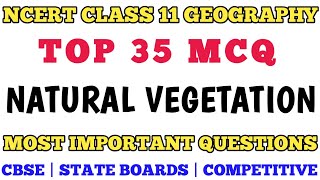 Best MCQ Natural Vegetation  Full Chapter Explanation  Class 11 Geography Chapter 5 [upl. by Hamirak]