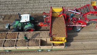 Kartoffelernte in Niedersachsen  Einblick in den Betriebsablauf Potato harvest in Germany 4K farmer [upl. by Allain]