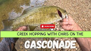 Creek Hopping  Gasconade  Fishing Video [upl. by Eada138]