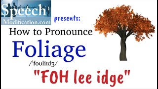 How to Pronounce Foliage Correctly [upl. by Torrin]