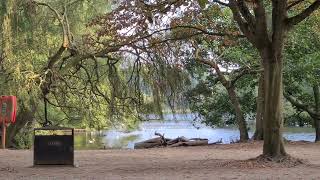 wollaton Park Nottingham UK 🇬🇧 relaxing nature Park birdstrvelvlog [upl. by Kcirdnek]