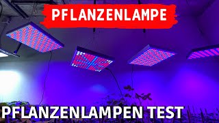 TEST Profi LED Pflanzenlampe vs billiges Amazon Grow Light  LED Pflanzenlichter Vergleich [upl. by Wallace]