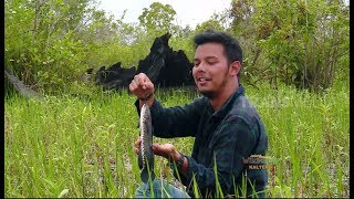 JEJAK PETUALANG  MEMBURU TANGKAPAN LIAR CARA TRADISIONAL 200618 23 [upl. by Ablem897]