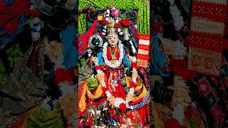 MAA MO MANGALA Maa🙏🌺🙏🌺🙏Khulana Sundari Katha Charitra jaymaamangala love shorts subscribe 🙏 [upl. by Ramirolg]