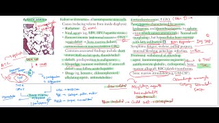 Aplastic anemia haematology 46 First Aid USMLE Step 1 in UrduHindi [upl. by Fini597]