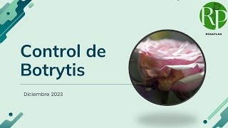 Rosaplan Control de Botrytis [upl. by Yerdna]