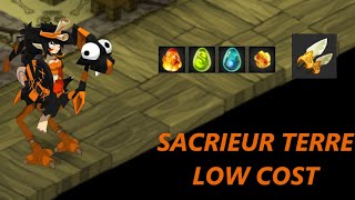 PRÉSENTATION SACRIEUR TERRE LOW COST [upl. by Ecnarolf]