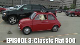 Giant Drives Classic Fiat 500  CAR and DRIVER [upl. by Anhaj]