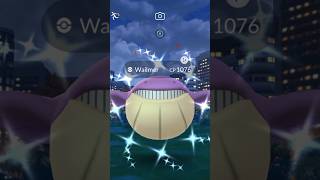 Shiny Wailmer Pokemon GO [upl. by Nylatsirk246]