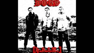 DOGS  I Wanna Be Your Dog The Stooges Cover [upl. by Hajed]