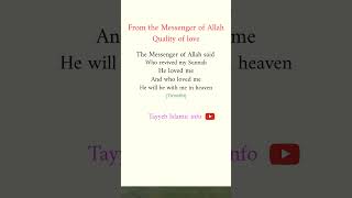 Quality for love goldenwords islamicstatus Youtube [upl. by Naro]