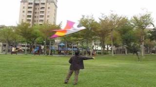 Walaaerobe XL  Flying Wings Kites [upl. by Trici]