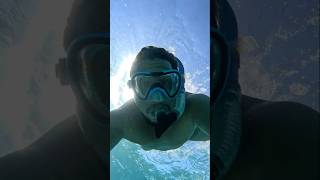 Snorkeling in hurghada egypt  red sea diving 🤿🇪🇬 travel redsea underwater hurghada snorkeling [upl. by Kciredorb101]