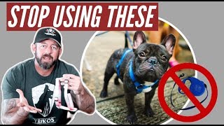 Stop using retractable leashes and harnesses on your dog [upl. by Ecinereb]