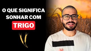 SONHAR COM TRIGO SONHOS QUE REPRESENTAM PROSPERIDADE DE DEUS CHEGANDO [upl. by Krebs]