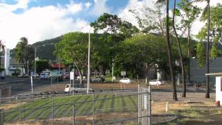 Native Hawaiian Plants for Expanded Use Development of Seed Production and Establishment Protocols [upl. by Erinna]