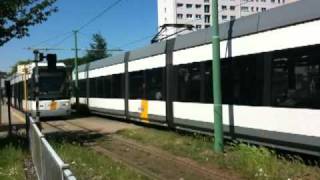 Antwerpen Straßenbahn  Antwerp Tram [upl. by Evanne465]