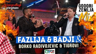 FAZLIJA amp BADJI  GORI ZEMLJA MIX  2022  UZIVO  UZ ORKBORKO RADIVOJEVIC amp TIGROVIOTV VALENTINO [upl. by Led]