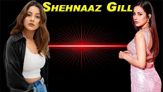 Shehnaaz Gill  Some Special facts about Shehnaaz Gill  Punjabi Actress [upl. by Orapma]