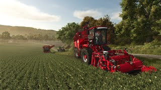 MULTIJOUEUR SUR FARMING SIMULATOR 25 🎮👌 [upl. by Akinnej]