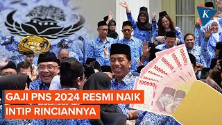 Gaji PNS 2024 Resmi Naik Ini Daftar Lengkapnya [upl. by Trepur]