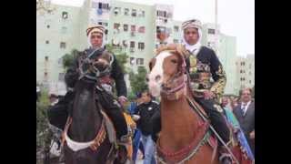 Cheba Djamila  Haya Nrohou LChaouia  Danek Douni Tahia Ness 41 [upl. by Florette]