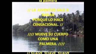 LA PALMERA MUSICA DE ANIMACION [upl. by Aerdua]