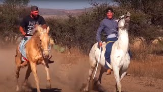 Carreras de Caballos Los Haro Jerez 2016 [upl. by Kopple]