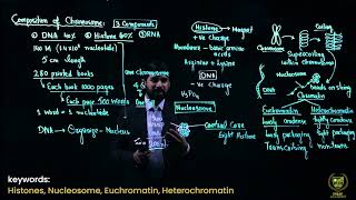 Composition of Chromosomes  12TH BIOLOGY  CHAPTER 20  LECTURE 2 [upl. by Anillehs214]