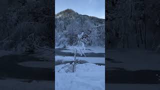 Neuhaus am Schliersee ❄️ Winter Wonder Land Sonne amp Schnee in den Bergen [upl. by Fergus791]