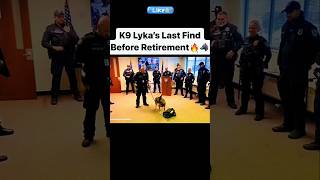 K9 Lykas Last Find Before Retirement 👈❤️ [upl. by Merridie]