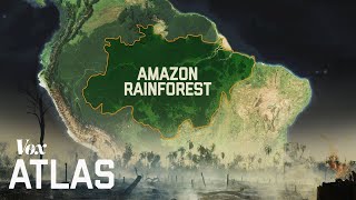 The destruction of the Amazon explained [upl. by Freed]