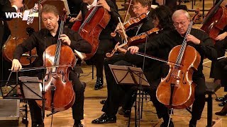 Bernhard Romberg Concertino for 2 Cellos Oren Shevlin Johannes Wohlmacher Reinhard Goebel [upl. by Neirod]