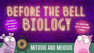 Mitosis and Meiosis Before the Bell Biology [upl. by Ostler]