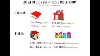 Leçon 2  Articles et Adjectifs possessifs en espagnol  Apprendre lespagnol  Cours despagnol [upl. by Atiner749]